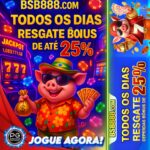 BSB888-REGISTRE-SE-7